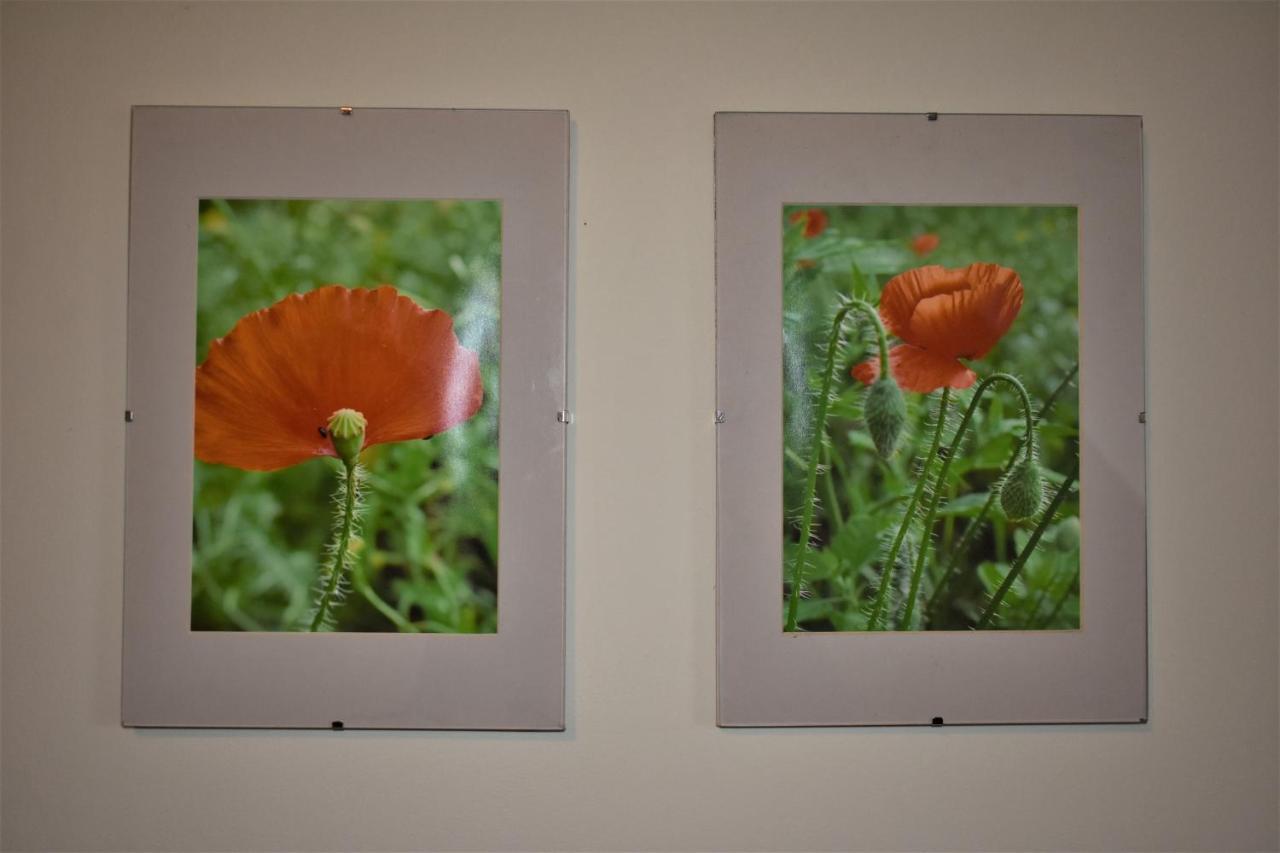 Guest House Gero Vejo Namai ไคลเพดา ภายนอก รูปภาพ